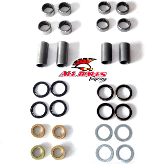 100828 - R58033097000 Swing Arm Bearing Kit 2005-2008 All Models